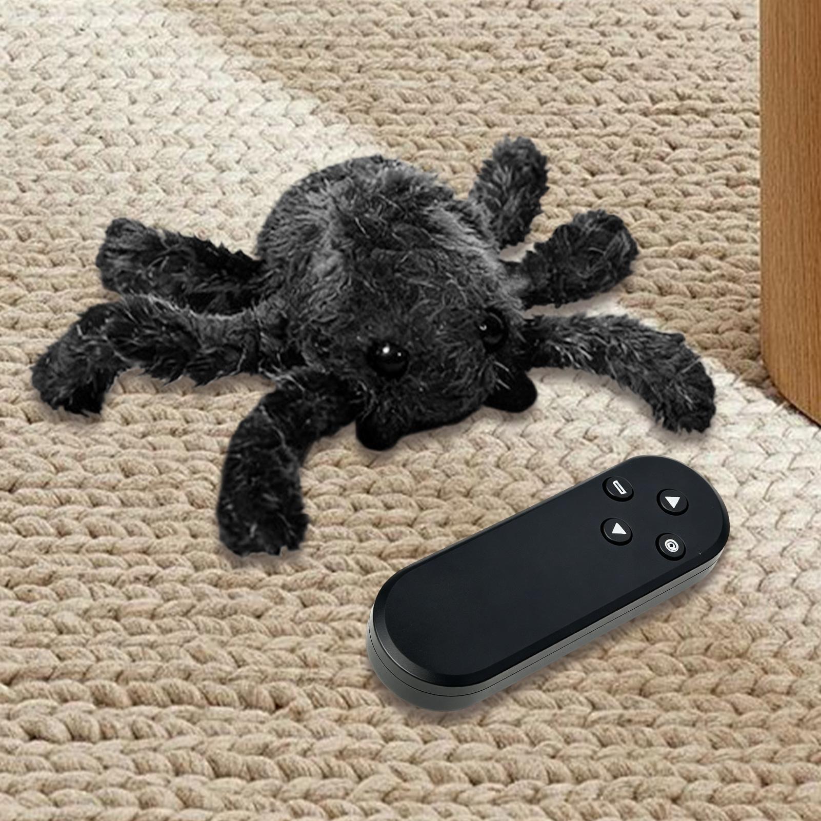 Jouets araignées souples recha - Kids Indoor Outdoor Games avis et prix