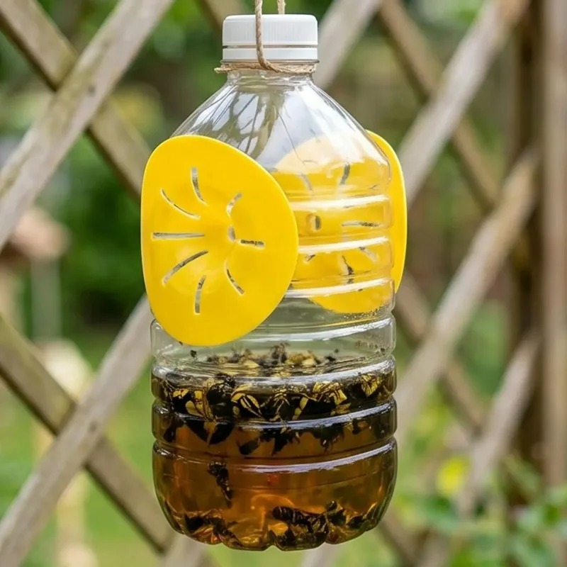 Piège à guêpes réutilisable 5/ - Bug Catching Kit avis et prix